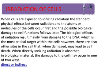 IRRADIATION OF CELLS
When cells are exposed to ionizing radiation the standard
physical effects between radiation and the atoms or
molecules of the cells occur first and the possible biological
damage to cell functions follows later. The biological effects
of radiation result mainly from damage to the DNA, which is
the most critical target within the cell; however, there are also
other sites in the cell that, when damaged, may lead to cell
death. When directly ionizing radiation is absorbed
in biological material, the damage to the cell may occur in one
of two ways:
direct or indirect
 