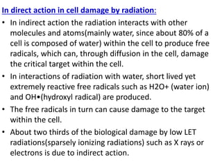 In direct action in cell damage by radiation:
• In indirect action the radiation interacts with other
molecules and atoms(mainly water, since about 80% of a
cell is composed of water) within the cell to produce free
radicals, which can, through diffusion in the cell, damage
the critical target within the cell.
• In interactions of radiation with water, short lived yet
extremely reactive free radicals such as H2O+ (water ion)
and OH•(hydroxyl radical) are produced.
• The free radicals in turn can cause damage to the target
within the cell.
• About two thirds of the biological damage by low LET
radiations(sparsely ionizing radiations) such as X rays or
electrons is due to indirect action.
 