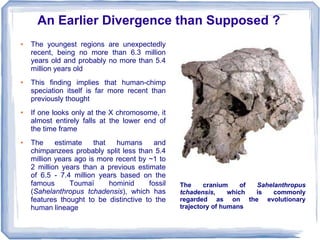 An Earlier Divergence than Supposed ?
●   The youngest regions are unexpectedly
    recent, being no more than 6.3 million
    years old and probably no more than 5.4
    million years old
●   This finding implies that human-chimp
    speciation itself is far more recent than
    previously thought
●   If one looks only at the X chromosome, it
    almost entirely falls at the lower end of
    the time frame
●   The     estimate    that   humans     and
    chimpanzees probably split less than 5.4
    million years ago is more recent by ~1 to
    2 million years than a previous estimate
    of 6.5 - 7.4 million years based on the
    famous       Toumaï      hominid    fossil   The     cranium     of Sahelanthropus
    (Sahelanthropus tchadensis), which has       tchadensis,     which  is   commonly
    features thought to be distinctive to the    regarded as on the evolutionary
    human lineage                                trajectory of humans
 
