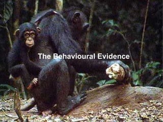 The Behavioural Evidence
 