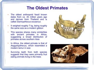 The Oldest Primates
●   The oldest anthropoid fossil known
    dates from ca. 35 million years ago
    and derives from Thailand and is
    called Siamopithecus eocaenus
●   It weighed roughly 7 kg, being roughly
    the same size as a modern gibbon
●   This species shares many similarities
    with ancient primates in Africa,
    suggesting a broad distribution of
    primates across southern Asia
●   In Africa, the oldest primate is that of
    Aegyptopithecus, which resembled a
    modern lemur in size
●   Surviving teeth from both species
    suggests that they were primarily fruit
    eating animals living in the trees
 