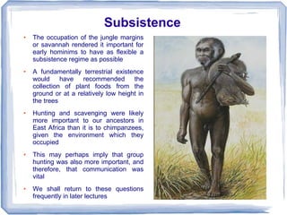 Subsistence
●   The occupation of the jungle margins
    or savannah rendered it important for
    early hominims to have as flexible a
    subsistence regime as possible
●   A fundamentally terrestrial existence
    would have recommended the
    collection of plant foods from the
    ground or at a relatively low height in
    the trees
●   Hunting and scavenging were likely
    more important to our ancestors in
    East Africa than it is to chimpanzees,
    given the environment which they
    occupied
●   This may perhaps imply that group
    hunting was also more important, and
    therefore, that communication was
    vital
●   We shall return to these questions
    frequently in later lectures
 