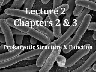 Lecture 2 Chapters 2 & 3 Prokaryotic Structure & Function 