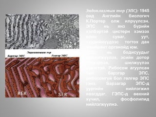 Lecture2 | PPT