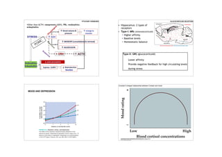 PITUITARY HORMONES
•Other than ACTH: vasopressin (ADH); PRL; endorphins;
enkephalins
POMC
GLUCOCORTICOID RECEPTORS
• Hippocamus: 2 types of
receptors
• Type-I: MRs (mineralocorticoid)
• Higher affinity
• Baseline levels
• Homeostatic balance
Type-II: GRS (glucocorticoid)
• Lower affinity
• Provide negative feedback for high circulating levels
during stress
MOOD AND DEPRESSION
Inverted U-shaped relationship between Cortisol and mood
 