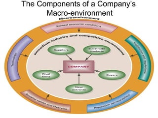 The Components of a Company’s
Macro-environment
 