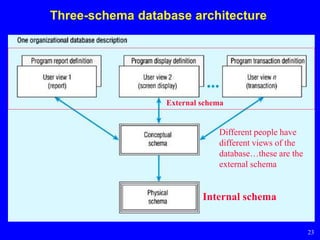 Database development progress(database) | PPTX