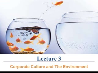 Lecture 3 
Corporate Culture and The Environment 
 