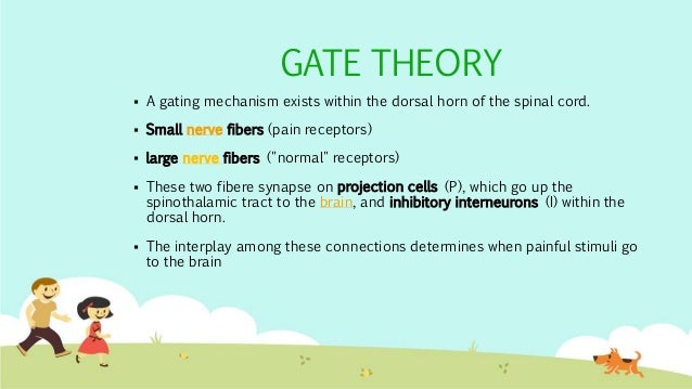 Pain gate theory ppt presentation