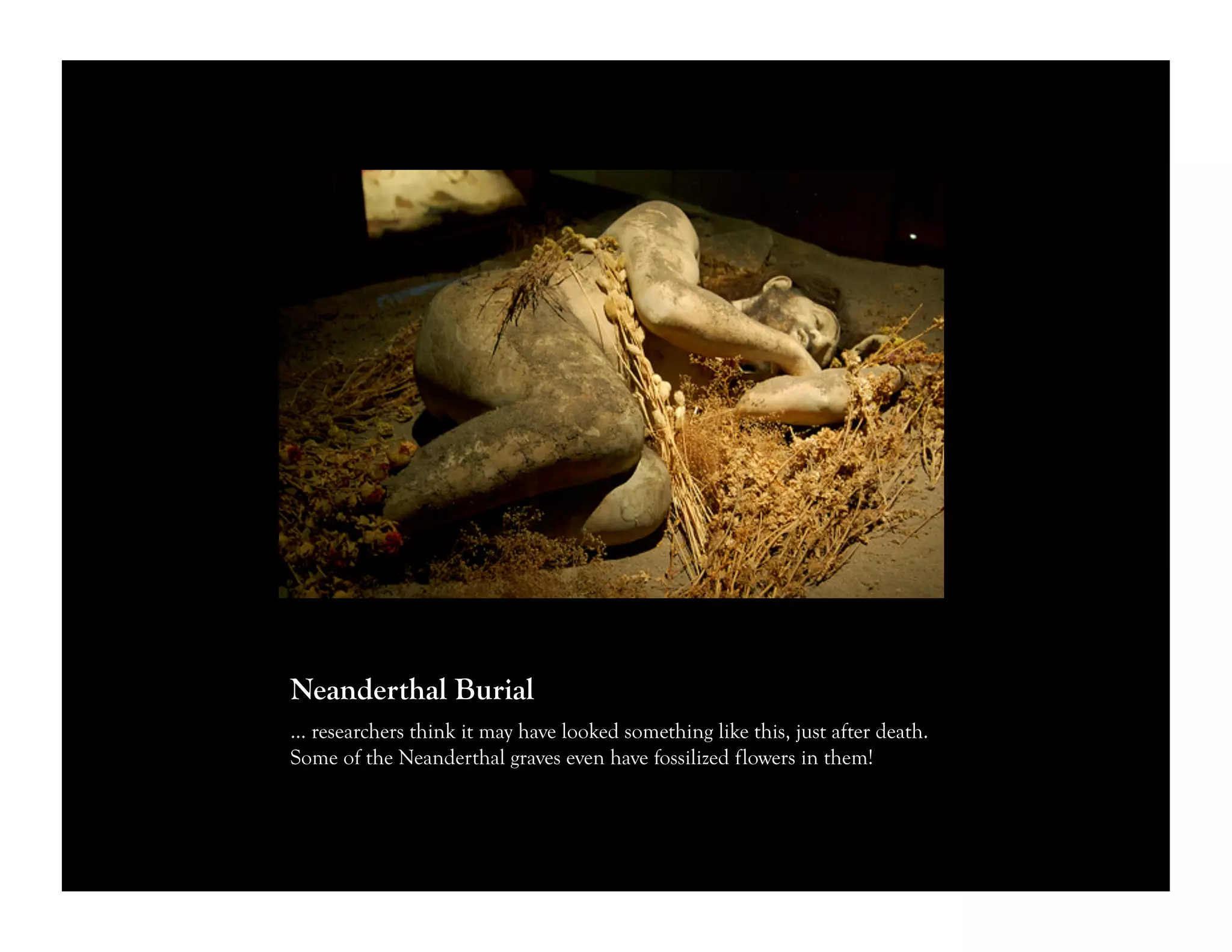 Neanderthal Burial
… researchers think it may have looked something like this, just after death.
Some of the Neanderthal graves even have fossilized flowers in them!
 
