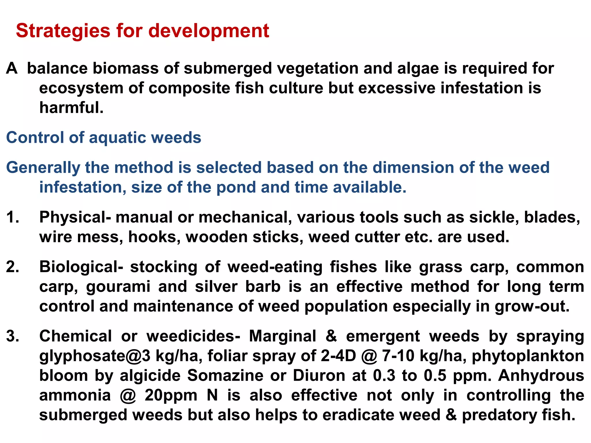 A balance biomass of submerged vegetation and algae is required for
ecosystem of composite fish culture but excessive infestation is
harmful.
Control of aquatic weeds
Generally the method is selected based on the dimension of the weed
infestation, size of the pond and time available.
1. Physical- manual or mechanical, various tools such as sickle, blades,
wire mess, hooks, wooden sticks, weed cutter etc. are used.
2. Biological- stocking of weed-eating fishes like grass carp, common
carp, gourami and silver barb is an effective method for long term
control and maintenance of weed population especially in grow-out.
3. Chemical or weedicides- Marginal & emergent weeds by spraying
glyphosate@3 kg/ha, foliar spray of 2-4D @ 7-10 kg/ha, phytoplankton
bloom by algicide Somazine or Diuron at 0.3 to 0.5 ppm. Anhydrous
ammonia @ 20ppm N is also effective not only in controlling the
submerged weeds but also helps to eradicate weed & predatory fish.
Strategies for development
 