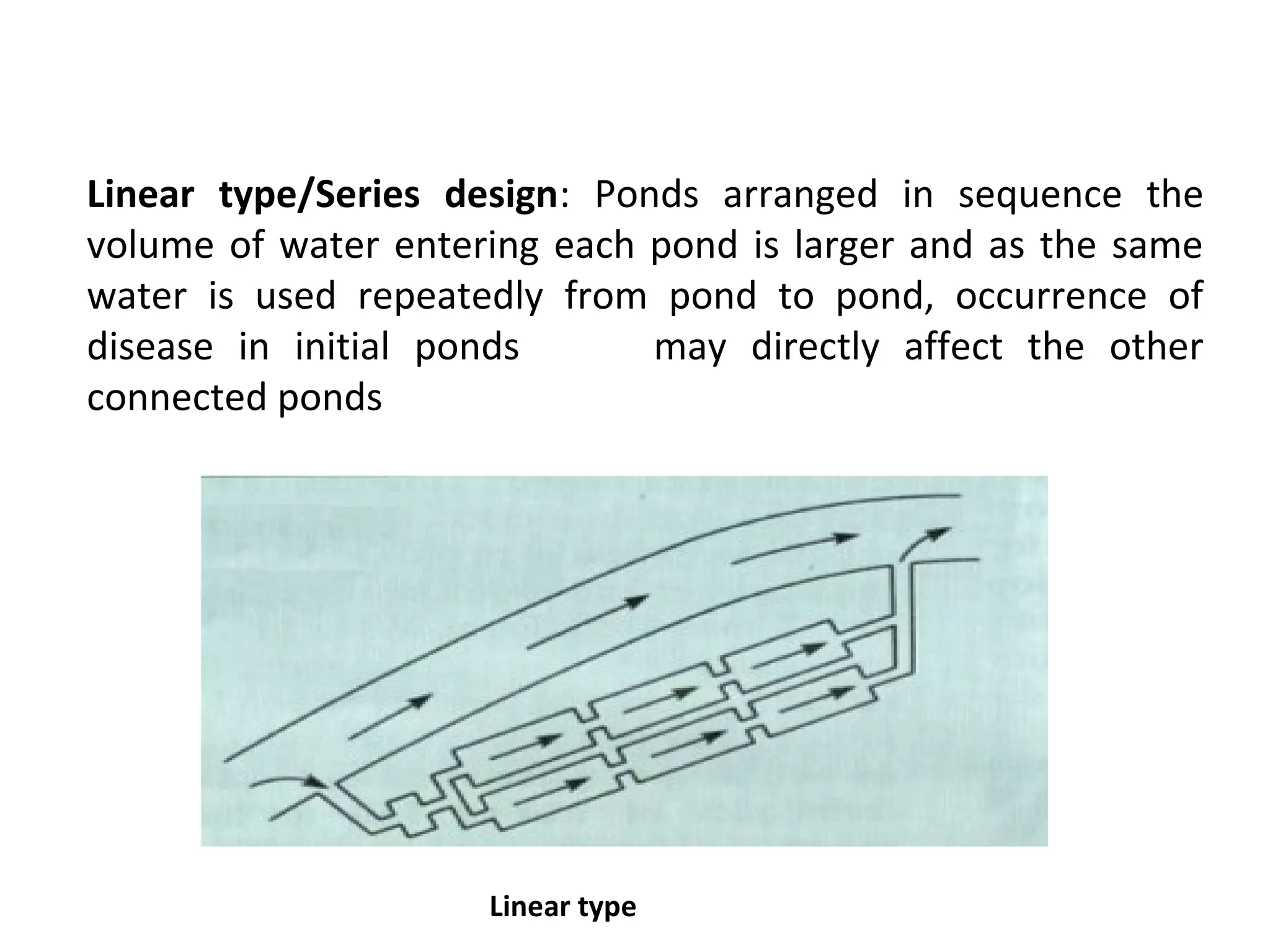 Linear type/Series design: Ponds arranged in sequence the
volume of water entering each pond is larger and as the same
water is used repeatedly from pond to pond, occurrence of
disease in initial ponds may directly affect the other
connected ponds
Linear type
 