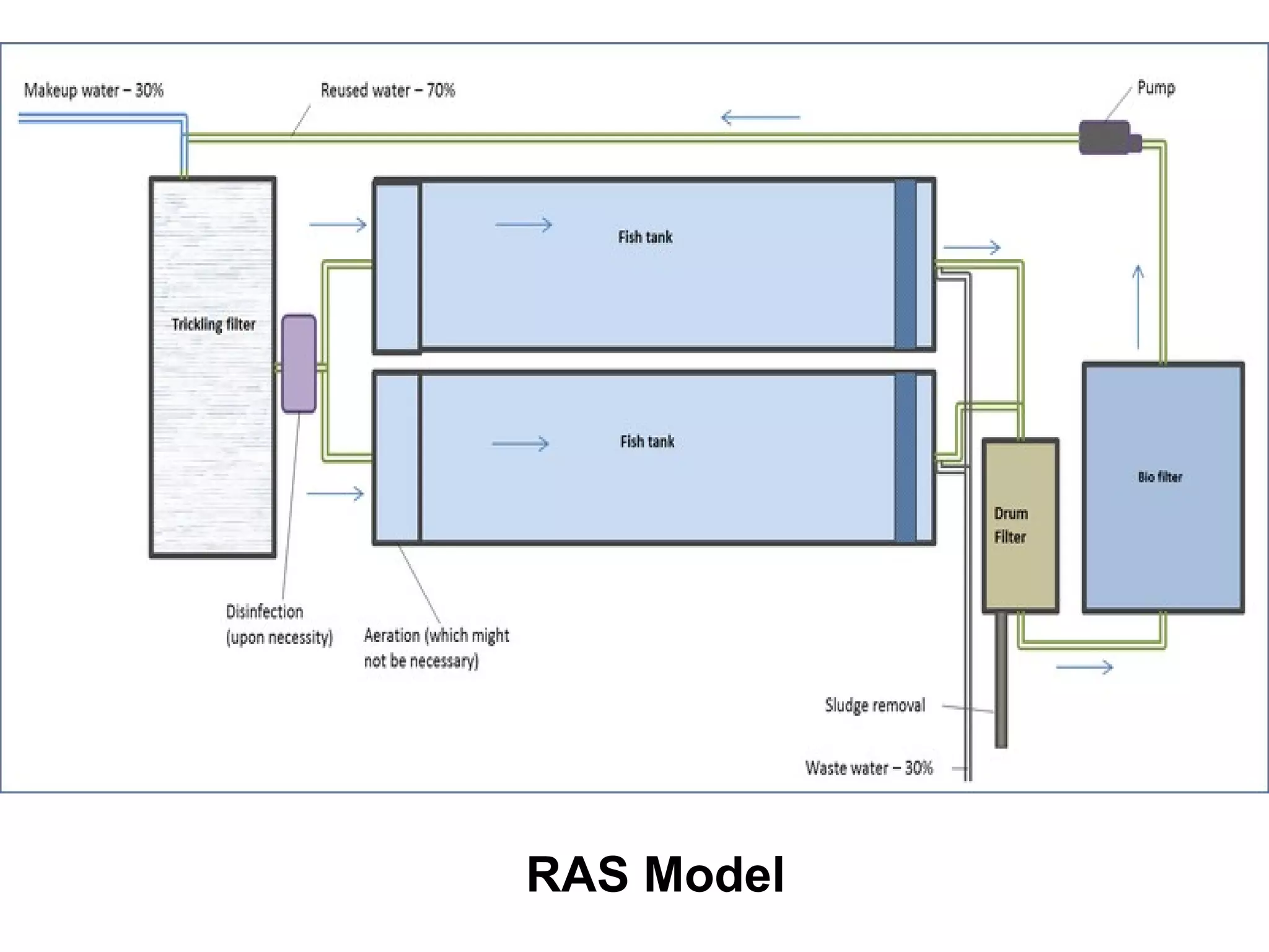 RAS Model
 