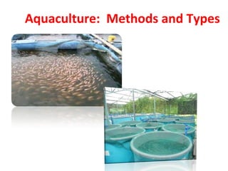 Aquaculture: Methods and Types
 