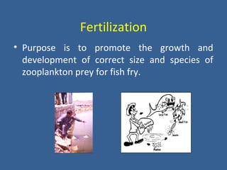 Fertilization
• Purpose is to promote the growth and
development of correct size and species of
zooplankton prey for fish fry.
 
