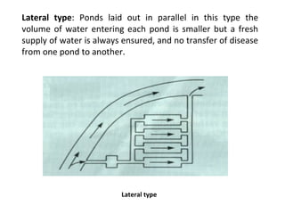 Lateral type: Ponds laid out in parallel in this type the
volume of water entering each pond is smaller but a fresh
supply of water is always ensured, and no transfer of disease
from one pond to another.
Lateral type
 