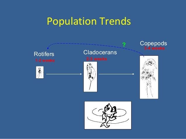 Lecture 2 Aquaculture Systems Methods and types Copy