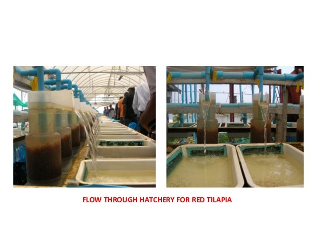 Lecture 2 Aquaculture Systems Methods and types Copy