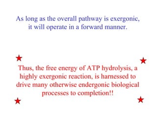 As long as the overall pathway is exergonic,
it will operate in a forward manner.
Thus, the free energy of ATP hydrolysis, a
highly exergonic reaction, is harnessed to
drive many otherwise endergonic biological
processes to completion!!
 