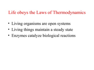 Life obeys the Laws of Thermodynamics
• Living organisms are open systems
• Living things maintain a steady state
• Enzymes catalyze biological reactions
 