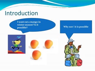 Introduction
I want eat a mango in
winter season? Is it
possible? Why not ! it is possible
 