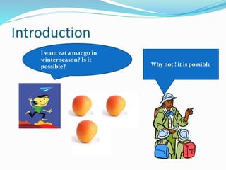 Introduction
I want eat a mango in
winter season? Is it
possible? Why not ! it is possible
 