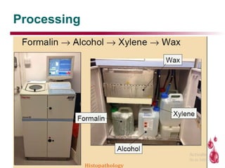Processing
Histopathology
 