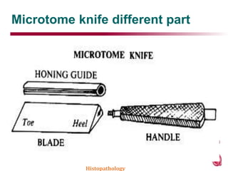 Microtome knife different part
Histopathology
 