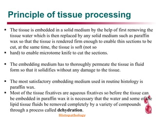 Principle of tissue processing
 The tissue is embedded in a solid medium by the help of first removing the
tissue water which is then replaced by any solid medium such as paraffin
wax so that the tissue is rendered firm enough to enable thin sections to be
cut, at the same time, the tissue is soft (not so
 hard) to enable microtome knife to cut the sections.
 The embedding medium has to thoroughly permeate the tissue in fluid
form so that it solidifies without any damage to the tissue.
 The most satisfactory embedding medium used in routine histology is
paraffin wax.
 Most of the tissue fixatives are aqueous fixatives so before the tissue can
be embedded in paraffin wax it is necessary that the water and some of the
lipid tissue fluids be removed completely by a variety of compounds
through a process called dehydration.
Histopathology
 