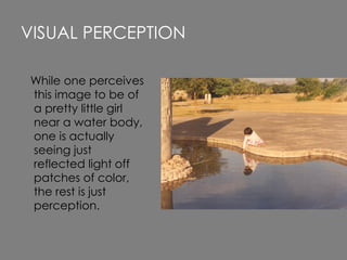 While one perceives
this image to be of
a pretty little girl
near a water body,
one is actually
seeing just
reflected light off
patches of color,
the rest is just
perception.
VISUAL PERCEPTION
 