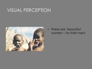 • These are ‘beautiful’
women – for their men!
VISUAL PERCEPTION
 