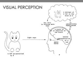 VISUAL PERCEPTION
 