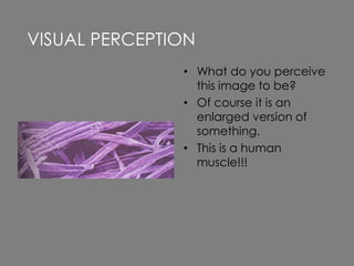 • What do you perceive
this image to be?
• Of course it is an
enlarged version of
something.
• This is a human
muscle!!!
VISUAL PERCEPTION
 