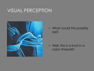 • What could this possibly
be?
• Well, this is a knot in a
nylon thread!!!
VISUAL PERCEPTION
 