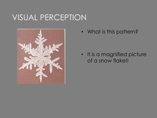 • What is this pattern?
• It is a magnified picture
of a snow flake!!
VISUAL PERCEPTION
 