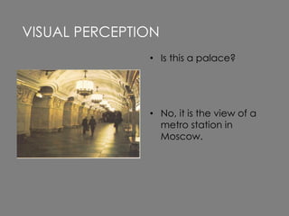 • Is this a palace?
• No, it is the view of a
metro station in
Moscow.
VISUAL PERCEPTION
 