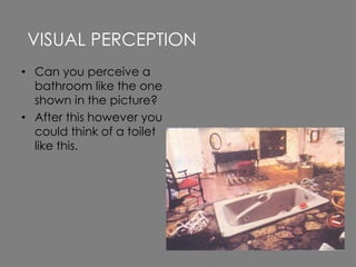 • Can you perceive a
bathroom like the one
shown in the picture?
• After this however you
could think of a toilet
like this.
VISUAL PERCEPTION
 