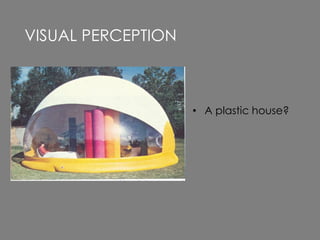 • A plastic house?
VISUAL PERCEPTION
 
