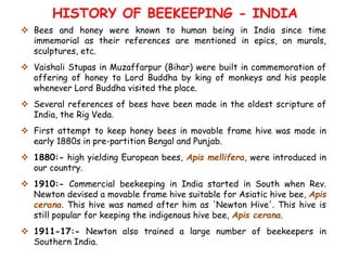 HISTORY OF BEEKEEPING - INDIA
 Bees and honey were known to human being in India since time
immemorial as their references are mentioned in epics, on murals,
sculptures, etc.
 Vaishali Stupas in Muzaffarpur (Bihar) were built in commemoration of
offering of honey to Lord Buddha by king of monkeys and his people
whenever Lord Buddha visited the place.
 Several references of bees have been made in the oldest scripture of
India, the Rig Veda.
 First attempt to keep honey bees in movable frame hive was made in
early 1880s in pre-partition Bengal and Punjab.
 1880:- high yielding European bees, Apis mellifera, were introduced in
our country.
 1910:- Commercial beekeeping in India started in South when Rev.
Newton devised a movable frame hive suitable for Asiatic hive bee, Apis
cerana. This hive was named after him as 'Newton Hive'. This hive is
still popular for keeping the indigenous hive bee, Apis cerana.
 1911-17:- Newton also trained a large number of beekeepers in
Southern India.
 