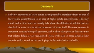 osmosis
• is the net movement of water across a semipermeable membrane from an area of
lower solute concentration to an area of higher solute concentration. This may
sound odd at first, since we usually talk about the diffusion of solutes that are
dissolved in water, not about the movement of water itself. However, osmosis is
important in many biological processes, and it often takes place at the same time
that solutes diffuse or are transported. Here, we’ll look in more detail at how
osmosis works, as well as the role it plays in the water balance of cells.
 