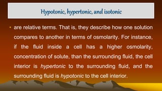 Hypotonic, hypertonic, and isotonic
• are relative terms. That is, they describe how one solution
compares to another in terms of osmolarity. For instance,
if the fluid inside a cell has a higher osmolarity,
concentration of solute, than the surrounding fluid, the cell
interior is hypertonic to the surrounding fluid, and the
surrounding fluid is hypotonic to the cell interior.
 