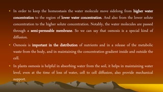 • In order to keep the homeostasis the water molecule move sidelong from higher water
concentration to the region of lower water concentration. And also from the lower solute
concentration to the higher solute concentration. Notably, the water molecules are passed
through a semi-permeable membrane. So we can say that osmosis is a special kind of
diffusion.
• Osmosis is important in the distribution of nutrients and in a release of the metabolic
waste from the body, and in maintaining the concentration gradient inside and outside the
cell.
• In plants osmosis is helpful in absorbing water from the soil, it helps in maintaining water
level, even at the time of loss of water, cell to cell diffusion, also provide mechanical
support.
 