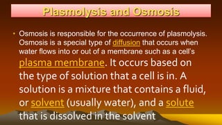 Plasmolysis and Osmosis
• Osmosis is responsible for the occurrence of plasmolysis.
Osmosis is a special type of diffusion that occurs when
water flows into or out of a membrane such as a cell’s
plasma membrane. It occurs based on
the type of solution that a cell is in. A
solution is a mixture that contains a fluid,
or solvent (usually water), and a solute
that is dissolved in the solvent
 