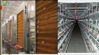  https://www.youtube.com/wa
tch?v=uUdMua9yT-4
 