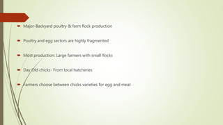  Major-Backyard poultry & farm flock production
 Poultry and egg sectors are highly fragmented
 Most production: Large farmers with small flocks
 Day Old chicks- From local hatcheries
 Farmers choose between chicks varieties for egg and meat
 