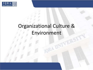 Organizational Culture &
Environment
 