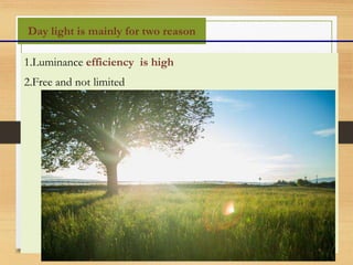 Day light is mainly for two reason
1.Luminance efficiency is high
2.Free and not limited
 