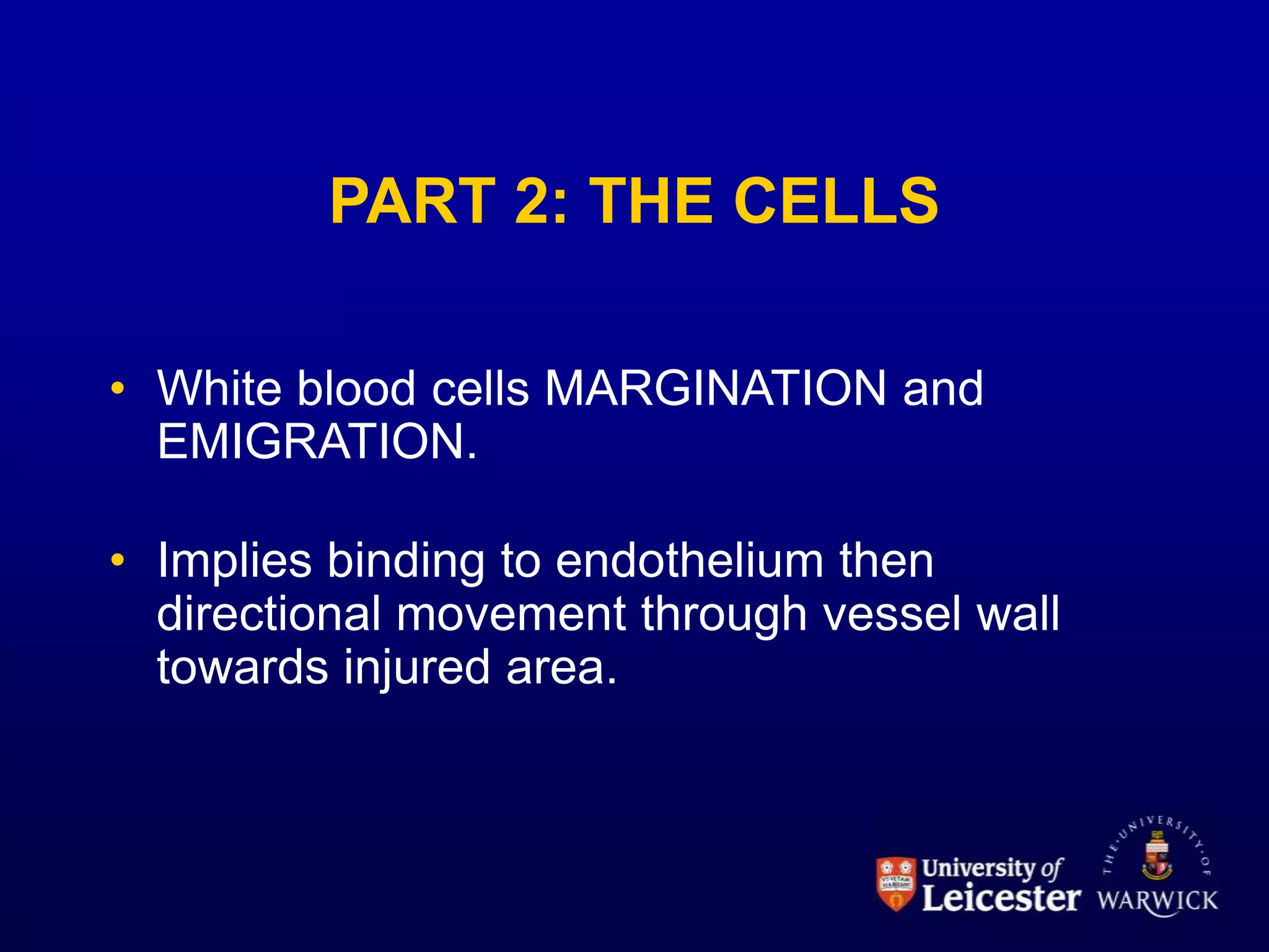 lecture2.ppt