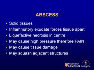 lecture2.ppt