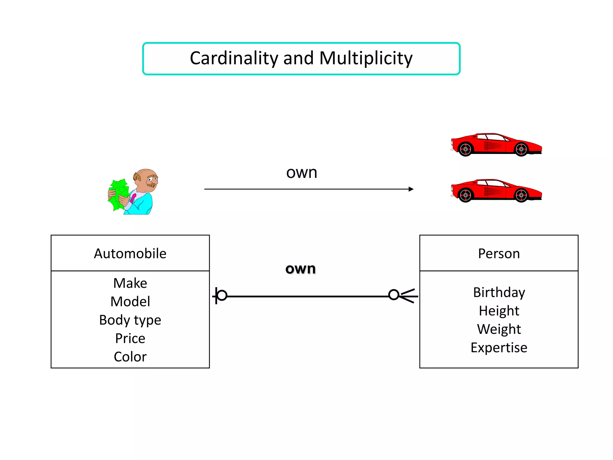Automobile Person
Make
Model
Body type
Price
Color
Birthday
Height
Weight
Expertise
own
own
Cardinality and Multiplicity
 